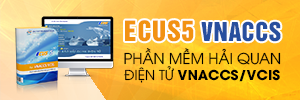 Phần mềm hải quan điện tử