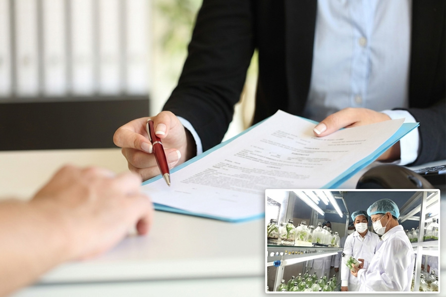 Quy định về hợp đồng thực hiện công việc trong đơn vị sự nghiệp công lập theo nghị định 235/2026/NĐ-CP