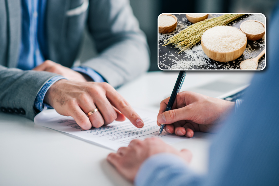 Mẫu hợp đồng xuất khẩu gạo cho doanh nghiệp chuẩn nhất 2026